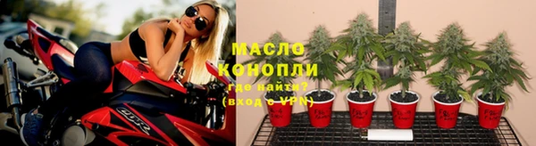 крисы Зеленодольск