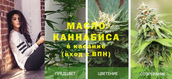 крисы Зеленодольск