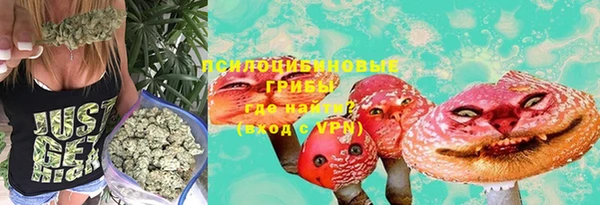 эйфоретик Зерноград